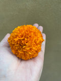 Marigold flower seed - 100+ seed - marigold plant seed for sale - gende ka phool - Bengali molly flower seed - Parijat Plant 