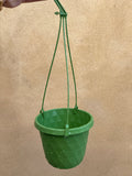 Green hanging pot ParijatPlant 