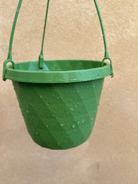 Green hanging pot Parijat Plant 