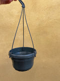 hanging plant pot - 14cm hanging pot - indoor hanging pot - Parijat Plant 