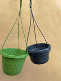 2 plant hanging plant pot - 14cm hanging pot - indoor hanging pot - Parijat Plant 