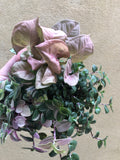 3 mini plant collection - Syngonium neon robusta - tradescantia fluminensis plant green/ pink - Parijat Plant 