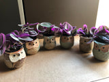 Cute Tradescantia Nanouk in a small 6cm Ceramic owl plant pot and a bamboo plate - Parijat Plant 