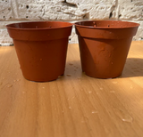 houseplant growing pot - brown plant pot (set of 2 pots) - Parijat Plant 