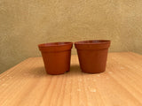 houseplant growing pot - brown plant pot (set of 2 pots) - parijat plant pot - best online plant pot - online plant pot - brown plant pot - pots