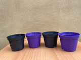 mini plant pot - 8cm plant /seeding pot - 4 plant pot - houseplant growing pot - Parijat Plant 