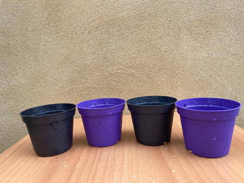 mini plant pot - 8cm plant /seeding pot - 4 plant pot - houseplant growing pot - parijatplant pot - online plant pot - plant pot - blue pot - black pot - best plant pot for sale
