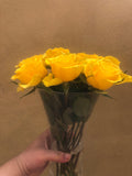 Fresh hand picked yellow rose sticks - without glass vase - 10 yellow rose flower subscription box - Free gift - Parijat Plant 