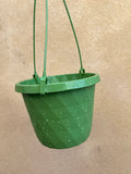 Green hanging pot - 14cm green hanging pot - indoor hanging pot - Parijat Plant 