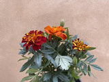 1 Marigold plant - tagetes -genda flower plant- flower colour selected randomly - Parijat Plant 