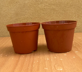 houseplant growing pot - brown plant pot (set of 2 pots) - Parijat Plant 