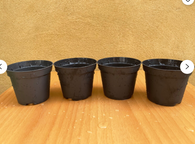 houseplant growing pot - plant pot(set of 4 pots) - plant pot - parijat plant pot - pot - online best plant pot
