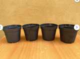 houseplant growing pot - plant pot(set of 4 pots) - plant pot - parijat plant pot - pot - online best plant pot