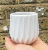 white ceramic pot - indoor plant pot - mini plant pot - Parijat Plant 