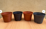 4 houseplant growing pot - plant pot - Parijat Plant 