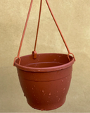 hanging plant pot - 10cm hanging pot - indoor hanging pot - Parijat Plant 