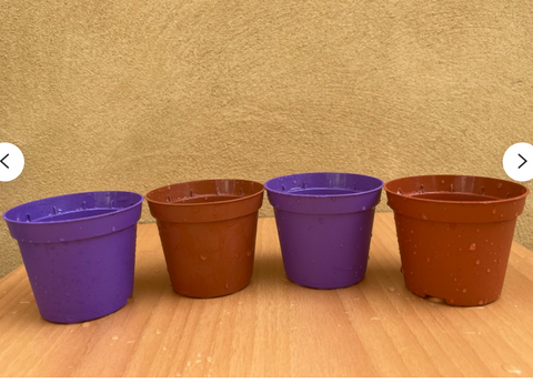 4 houseplant growing pot - plant pot - parijat plant pot - plant pot - houseplant decoration - blue pot - brown pot - plant pot for sale -  best online plant pot - online plant pot